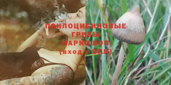 гашик Алзамай