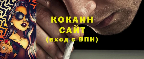твердый Протвино